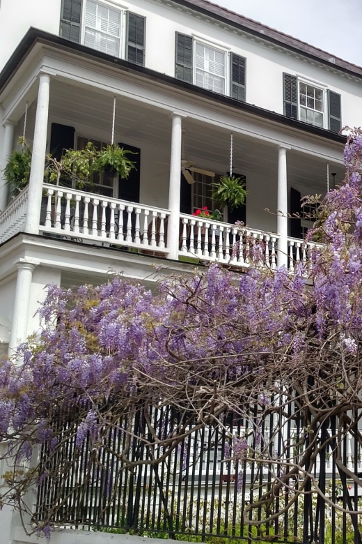 Charleston: Historical Walking Tour With Storytelling - Tour Highlights