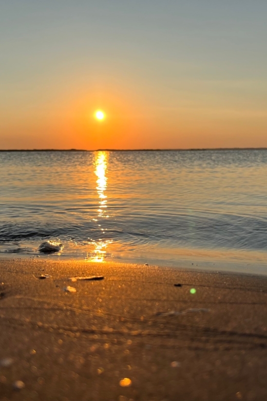 Charleston: Morris Island Dolphin Cruise With Beachcombing - Inclusions and Amenities