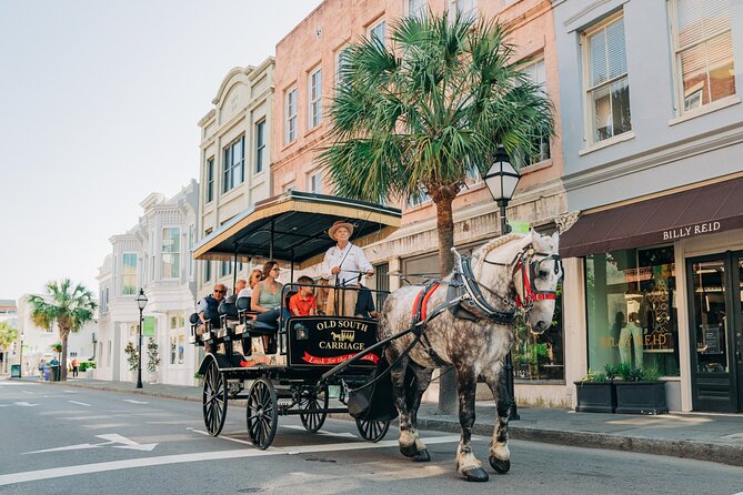 Charleston's Old South Carriage Historic Horse & Carriage Tour - Exploring Charlestons Historic District