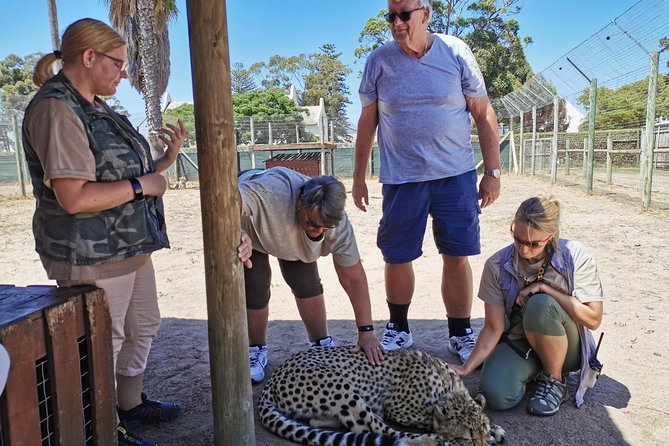 Cheetah Outreach Tour Somerset West, Gordons Bay and Strand Beaches - Coastal Scenery and Beaches