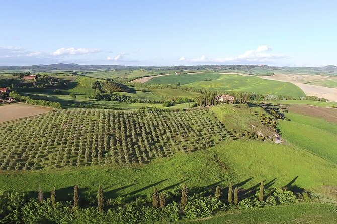 Chianti Classico, Montalcino, Montepulciano by Minivan: Wine Tastings & Lunch - Farmhouse Lunch in Montalcino