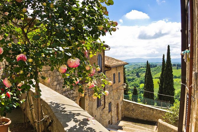 Chianti Half Day Wine Tour From Florence - Winery Visits