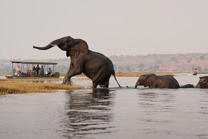 Chobe Full Day Trip From Victoria Falls - Pickup and Drop-off Details