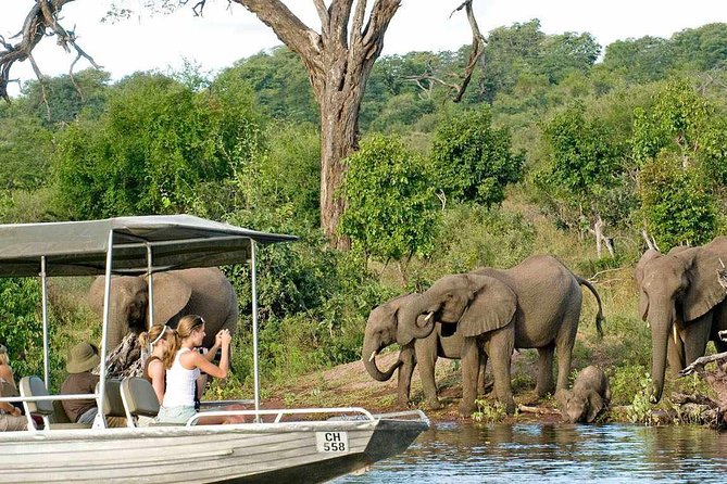 Chobe Full Day Trip - Lunch at Safari Lodge