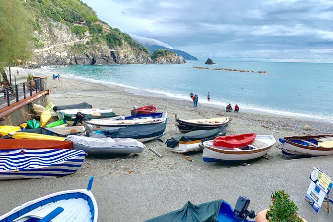 Cinque Terre Experience From Florence - Group Size and Accessibility