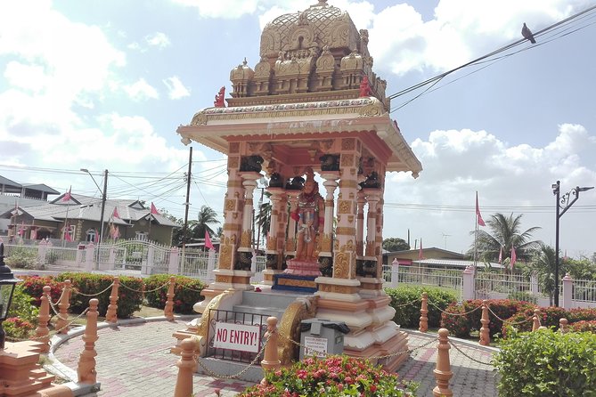 City Temple in the Sea Hanuman Murti Tour - Health and Accessibility