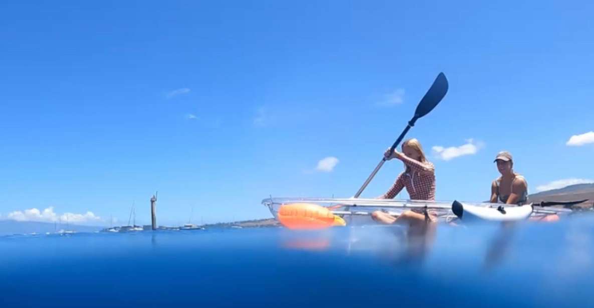 Clear Bottom Glassy Kayak Rental | Safe and Stable Kayaks - Ideal for All Individuals