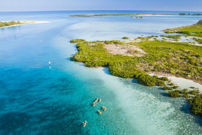 Clear Bottom Kayak Mangrove Eco Tour - Customer Experiences