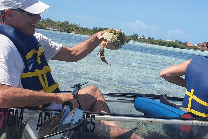 Clear Bottom Kayaks Mangrove Tour - Review Highlights