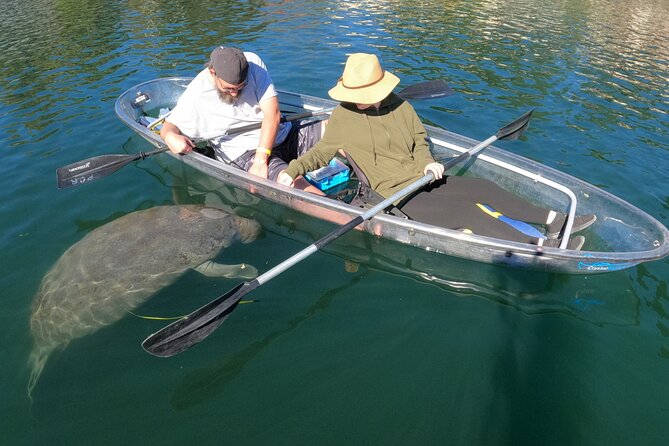 Clear Kayak Manatee Ecotour of Crystal River - Health and Safety Considerations