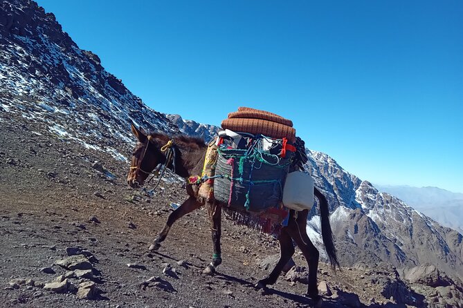 Climb Mount Toubkal 2 Days From Marrakech All Included - Pricing and Guarantees