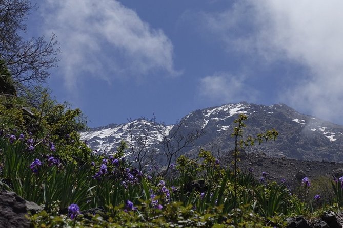 Climb Mount Toubkal - Trekking - 3 Days - Accommodation and Meals