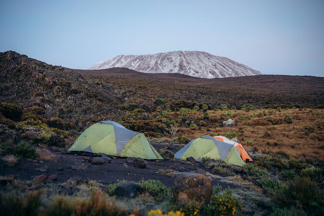 Climbing Kilimanjaro Through 7 Days Machame Route - Meals and Dining Experience