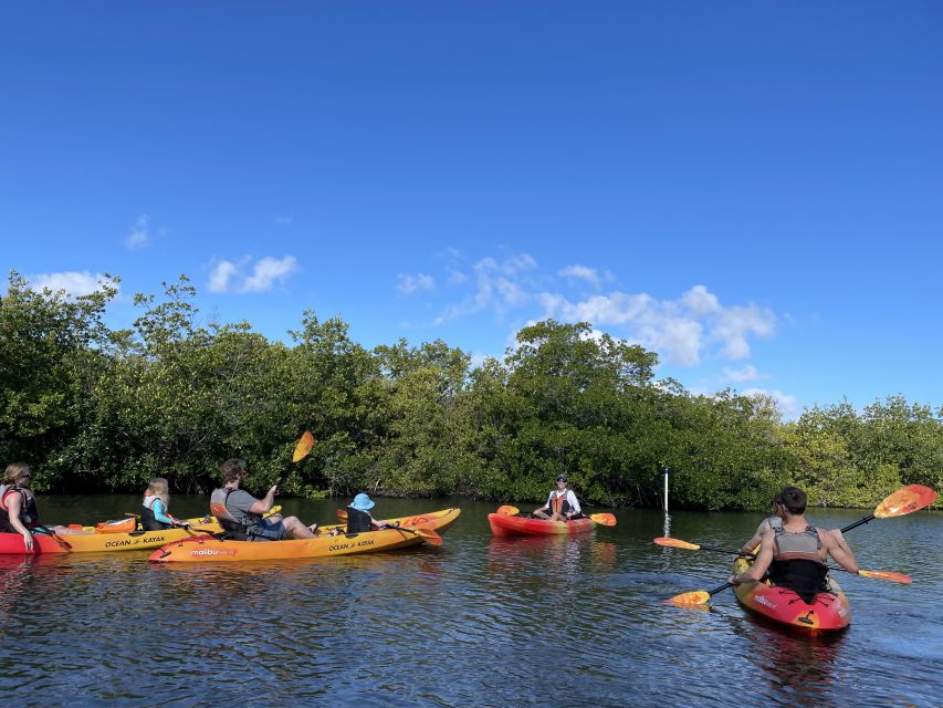 Cocoa Beach: Daytime Guided Kayak Eco-Tour - Tour Details