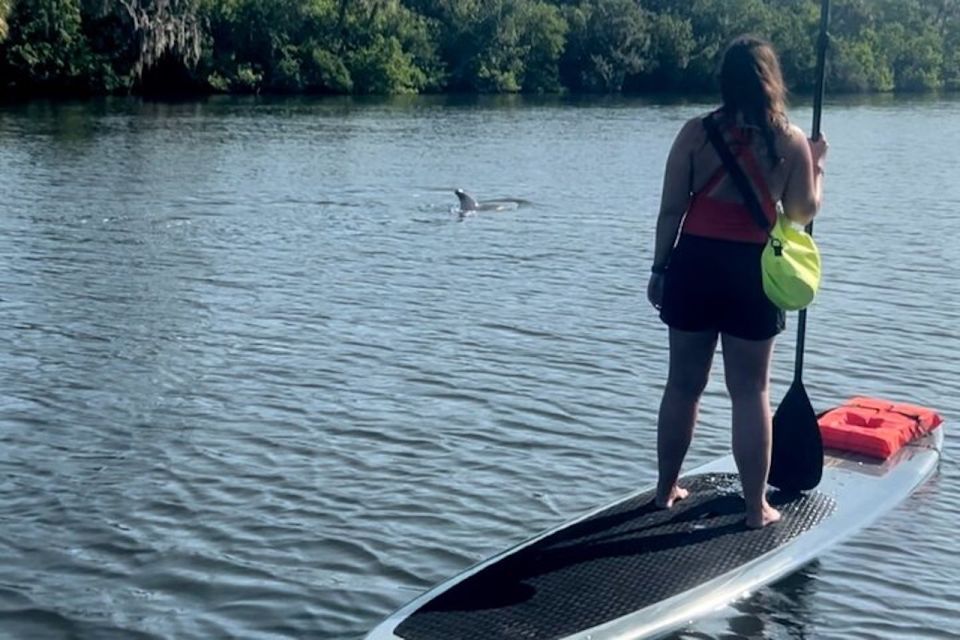 Cocoa Beach: Dolphin and Manatee Kayak or Paddle Tour - Itinerary and Meeting Point