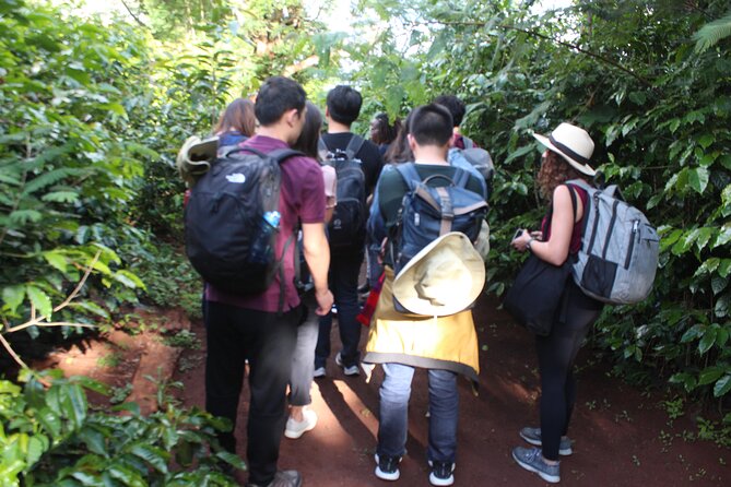 Coffee Farm Tour, Coffee Roasting and Tasting Experience - Coffee Growing Process