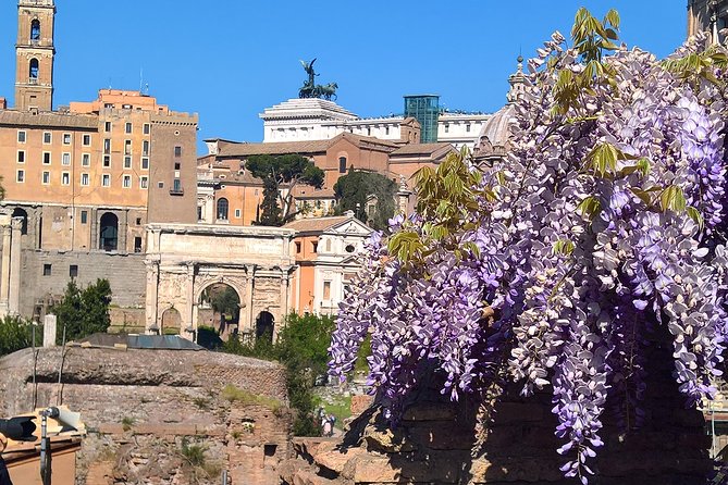 Colosseum and Roman Forum in English - Highlights of the Tour