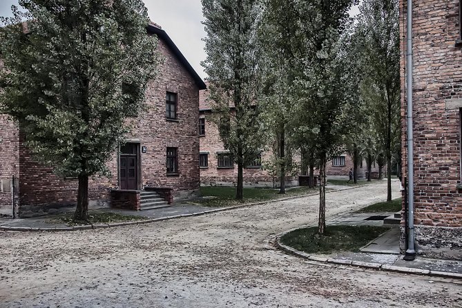 Combined Tour Auschwitz Birkenau Guided & Salt Mine Guided From Krakow - Accessibility Considerations