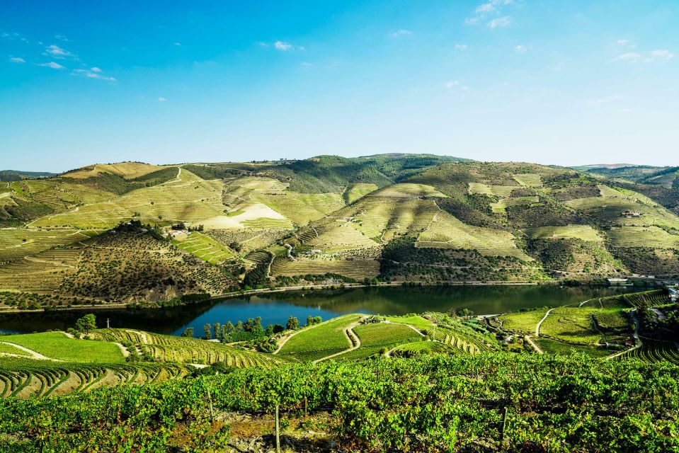 Complete Douro Valley Tour - Visit to 3 Wineries & Lunch - Exclusions