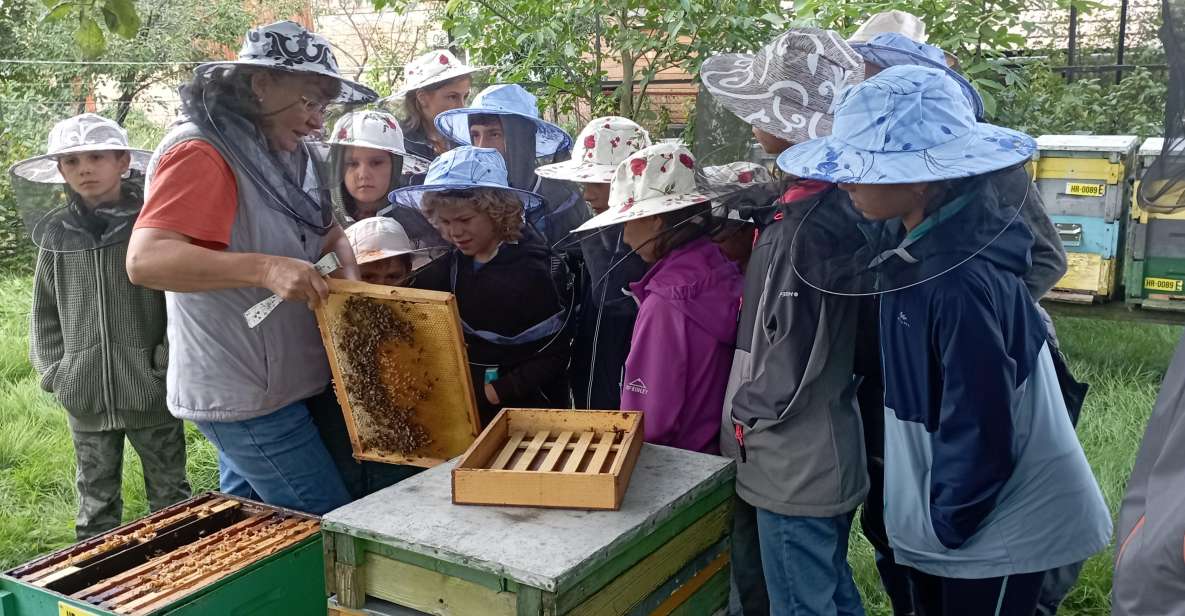 Corund, Hr: Visit to Bee-Keeper, Tasting & Hive-Opening - Guided Tour Details