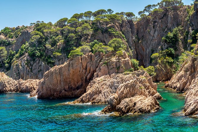 Costa Brava Day Adventure: Hike, Snorkel, Cliff Jump & Meal - Snorkeling With Marine Life