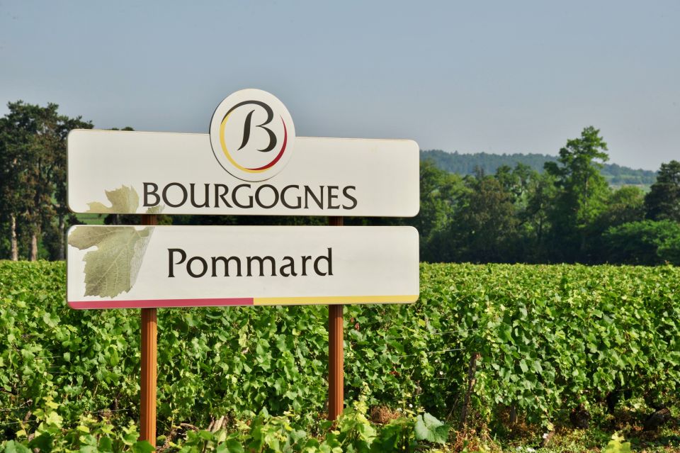 Cote De Beaune Private Local Wineries and Wine Tasting Tour - Winery Tour and Tastings