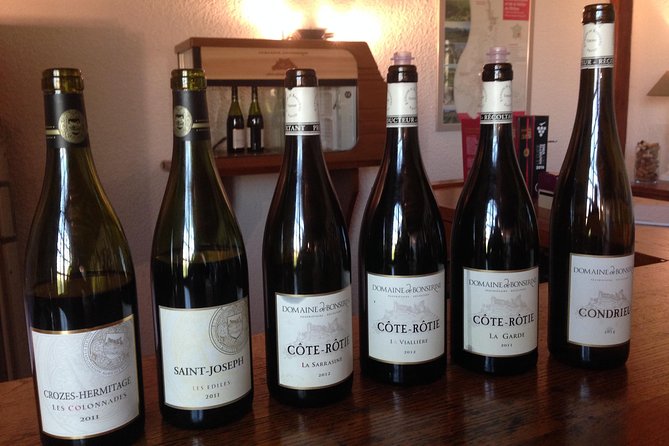 Cotes Du Rhone Wine Tour (9:00 Am to 5:15 Pm) - Small Group Tour From Lyon - Scenic Vineyards and Slopes