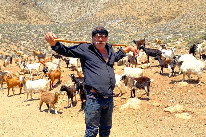 Crete: Jeep Safari, Mountains, Goat-Keeping & Cheese Making - Jeep Driving Requirements