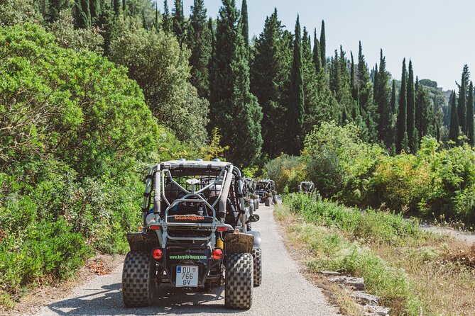 Croatia Korcula Island Buggy Safari Tour - Group Size and Pricing