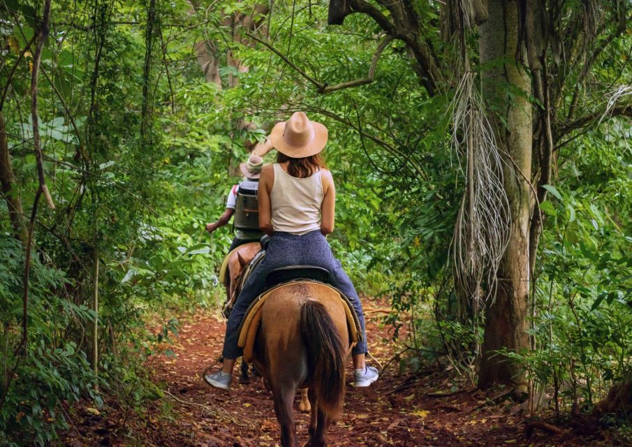 Cruseilles: Horseback Riding in the Countryside - Tour Highlights