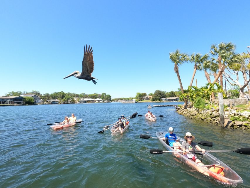 Crystal River: Clear Kayak Manatee Ecotour - Tour Inclusions