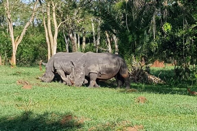 Day Tour Of Ziwa Rhino Sanctuary and Wildlife Ranch - ZIWA RHINO TREKKING - Accessibility