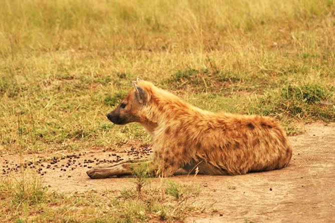 Day Trip Safari - Akagera National Park With Optional Lake Ihema Boat Safari - Booking and Confirmation Process