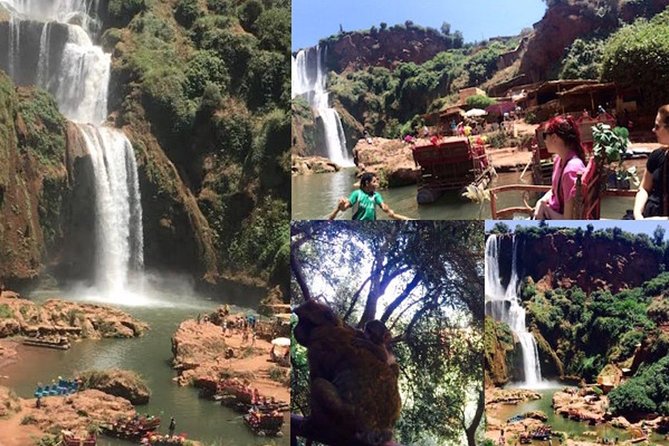 Day Trip to Ouzoud Waterfalls From Marrakech - Meeting and Pickup