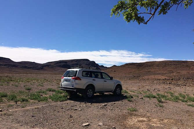 Day Trip to Visit Ouarzazate - Inclusions and Accessibility