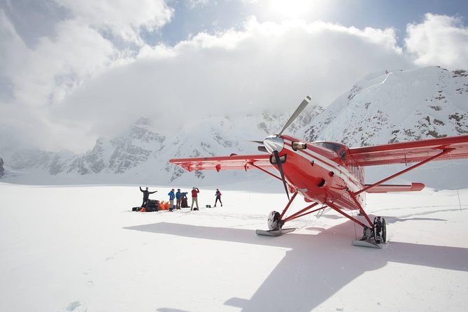 Denali Flyer Flightseeing Tour From Talkeetna - Key Features