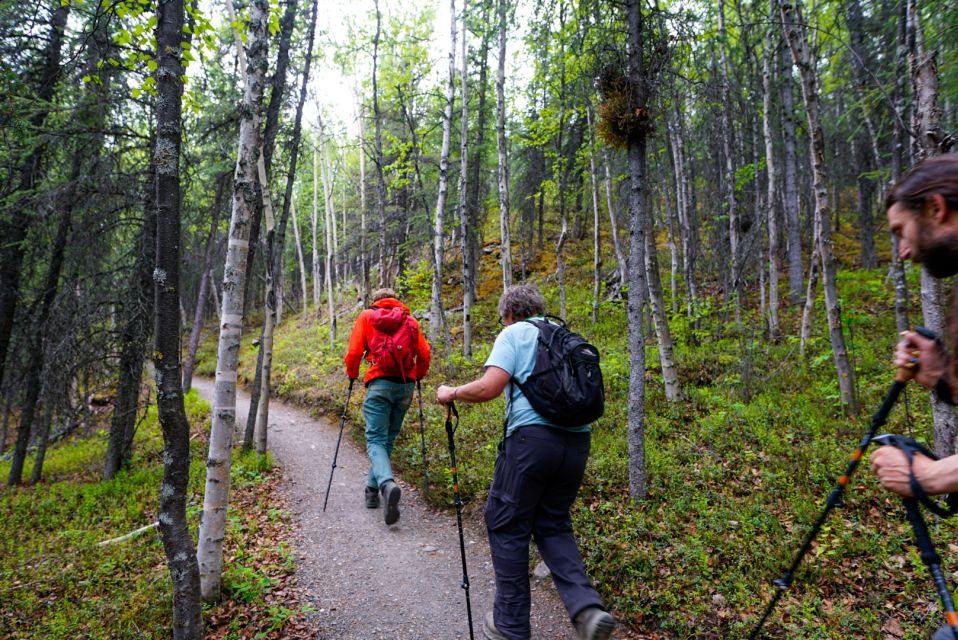 Denali: Naturalist Walking Tour in Denali National Park - Itinerary Details