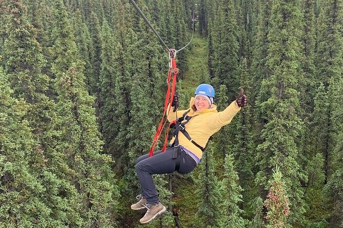 Denali Park Zipline Adventure - Ziplining Course Features