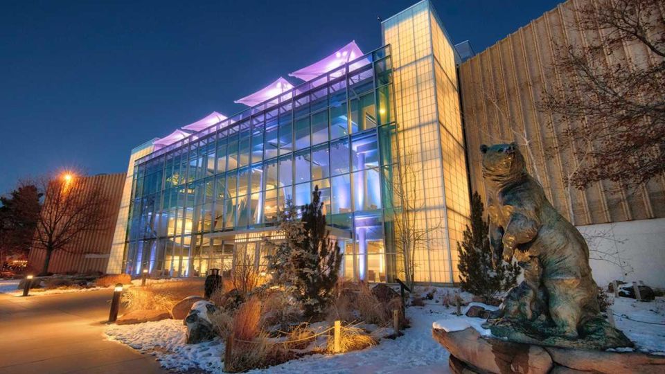 Denver: Museum of Nature and Science Admission Ticket - Visitor Experience Highlights