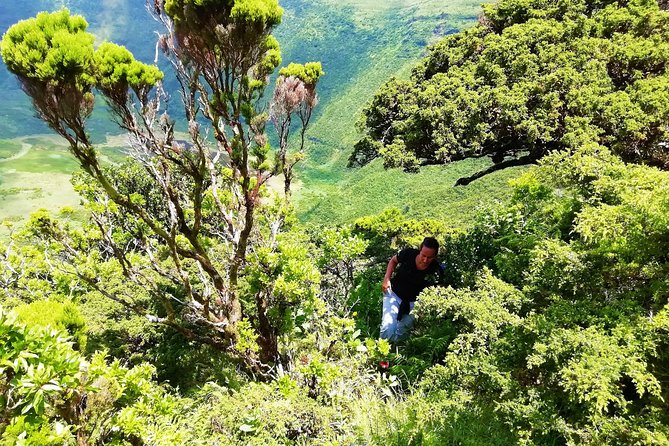 Descent to Caldeira Do Faial - the Perfect Adventure - Cancellation and Refund Policies