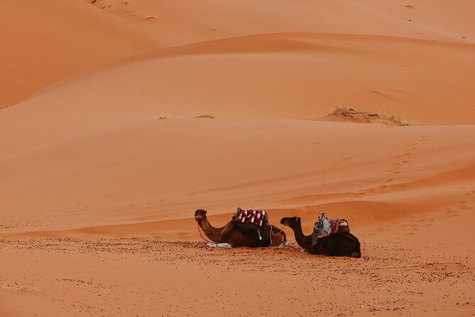 Desert Experience Merzouga - Inclusion and Exclusion