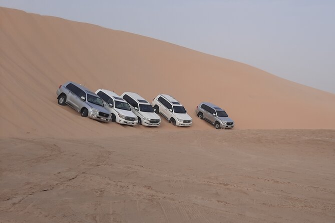 Desert Safari and Inland Sea(Private Tour) - Inclusions