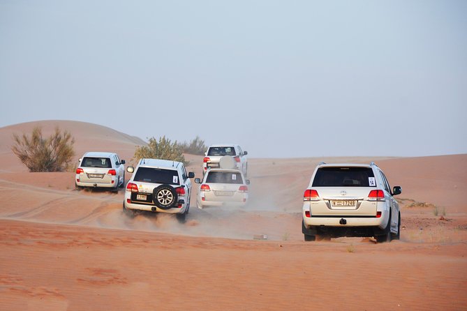 Desert Safari Drive With BBQ Dinner at DDCR Camp - Tour Participation and Restrictions