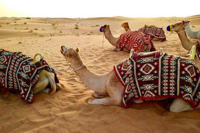 Desert Safari With BBQ Dinner , Sand Boarding , Dune Bashing - Additional Activities