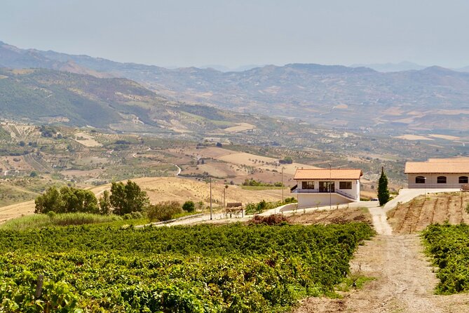 Di Giovanna Winery Tour & 5 Wine Tasting - Meeting Location and Accessibility