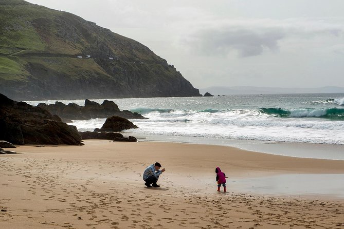 Dingle Peninsula Day Tour From Limerick: Including the Wild Altanic Way - Ideal for Families and First-time Visitors