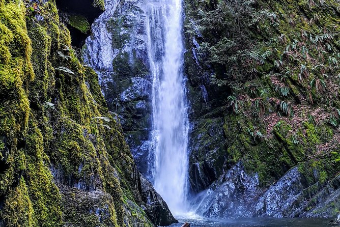 Discover Sooke to Port Renfrew Scenic Tour of Vancouver Islands - Transportation and Amenities