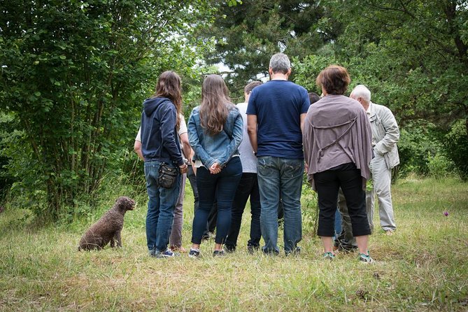 Discovery of the World of Truffles and Tasting - Truffle Sniffing Dog in Action