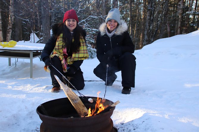 Dog Sledding Adventure From Toronto Private Tour - What to Expect