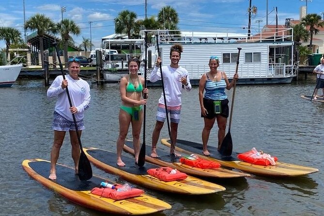 Dolphin and Manatee Stand Up Paddleboard Tour in Daytona Beach - Wildlife and Tour Highlights